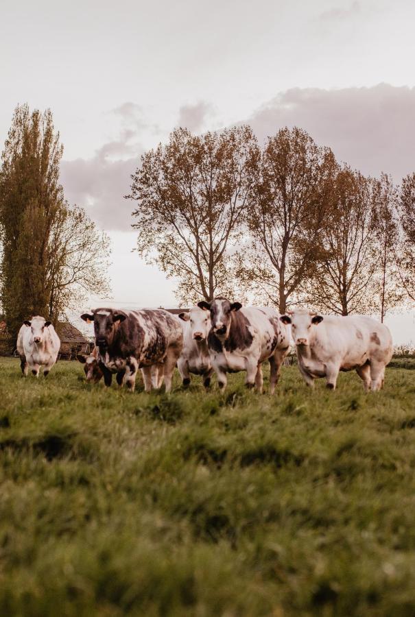 Huisje Nummer Tien Sint-Laureins Buitenkant foto