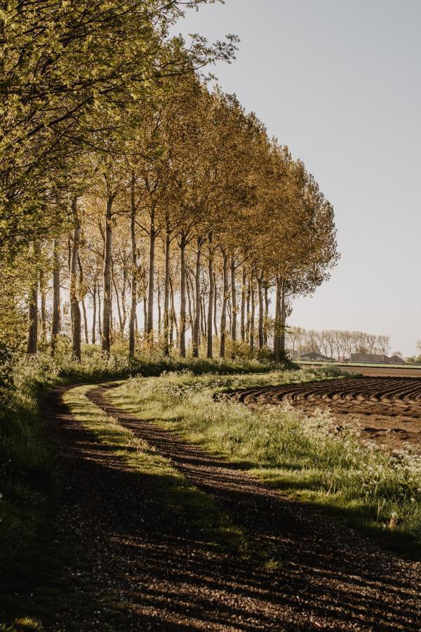 Huisje Nummer Tien Sint-Laureins Buitenkant foto